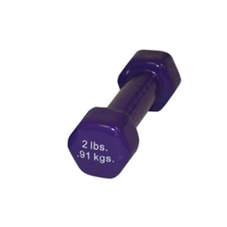 Fabrication Enterprises Fabrication Enterprises 10-0551 2 lbs Color-Coded Vinyl Coated Iron Dumbbell; Violet 10-0551
